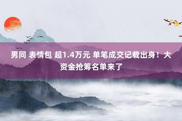 男同 表情包 超1.4万元 单笔成交记载出身！大资金抢筹名单来了