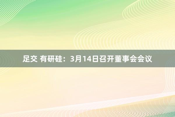 足交 有研硅：3月14日召开董事会会议